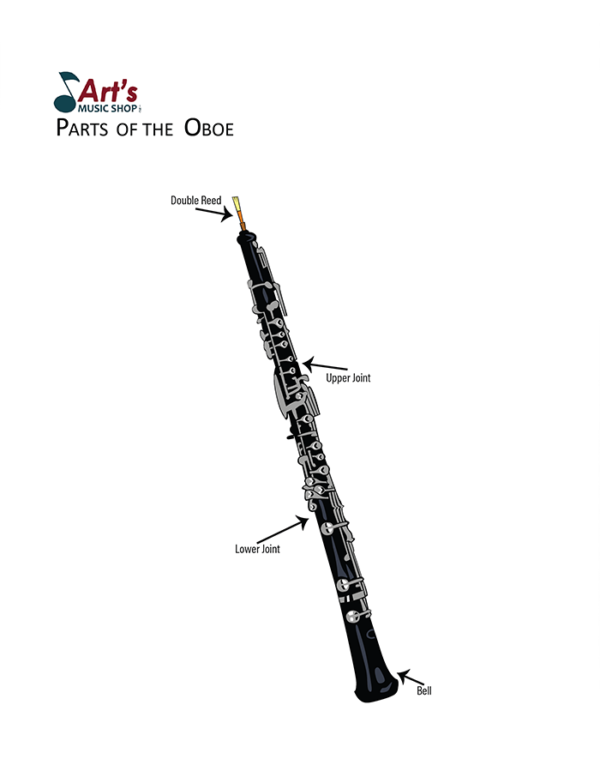 Oboe Care and Maintenance Tips from Art's Music Shop