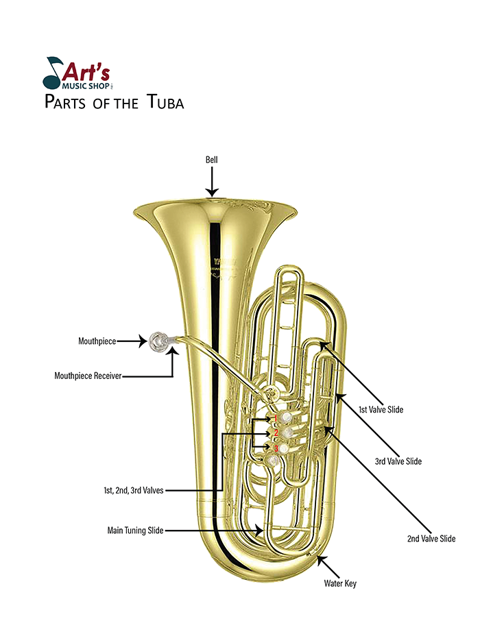 What Are The Parts Of A Tuba | Reviewmotors.co