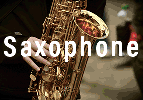 saxophone player block