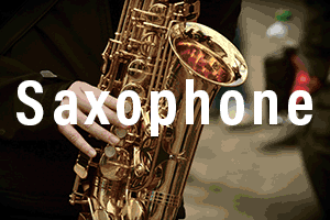 saxophone player block