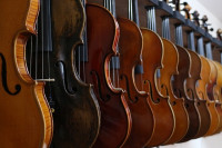 art's music shop violin array image